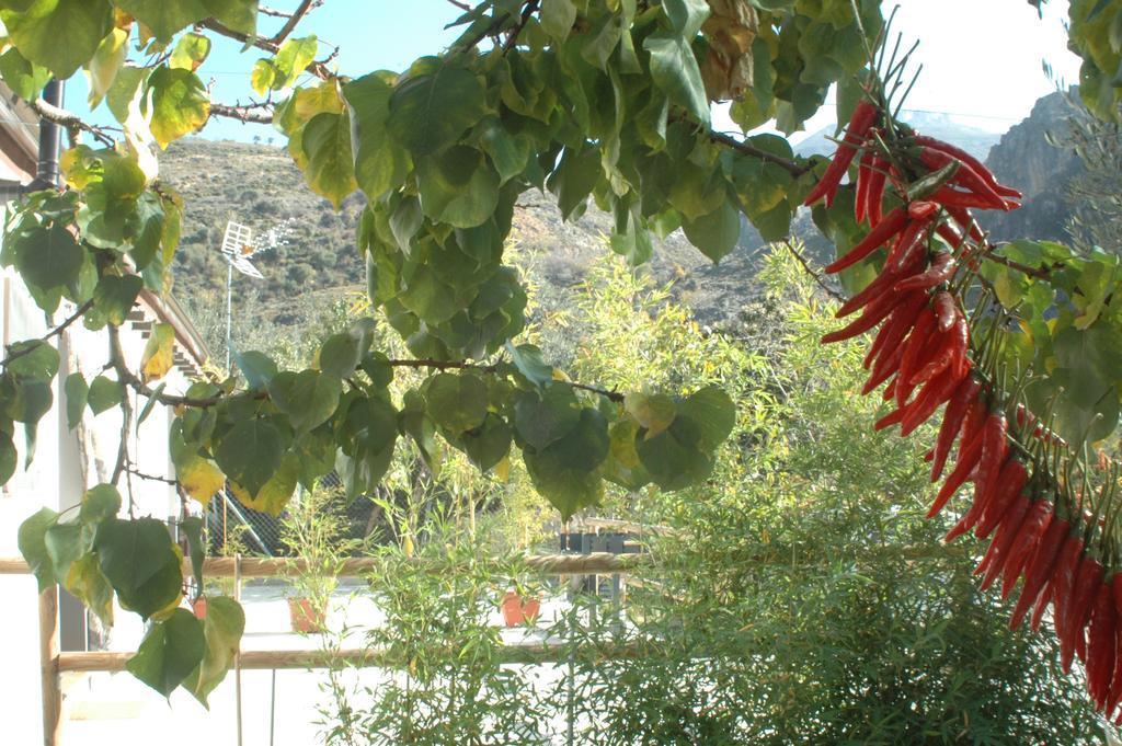 Cortijo Los Cahorros Sierra Nevada Моначиль Экстерьер фото