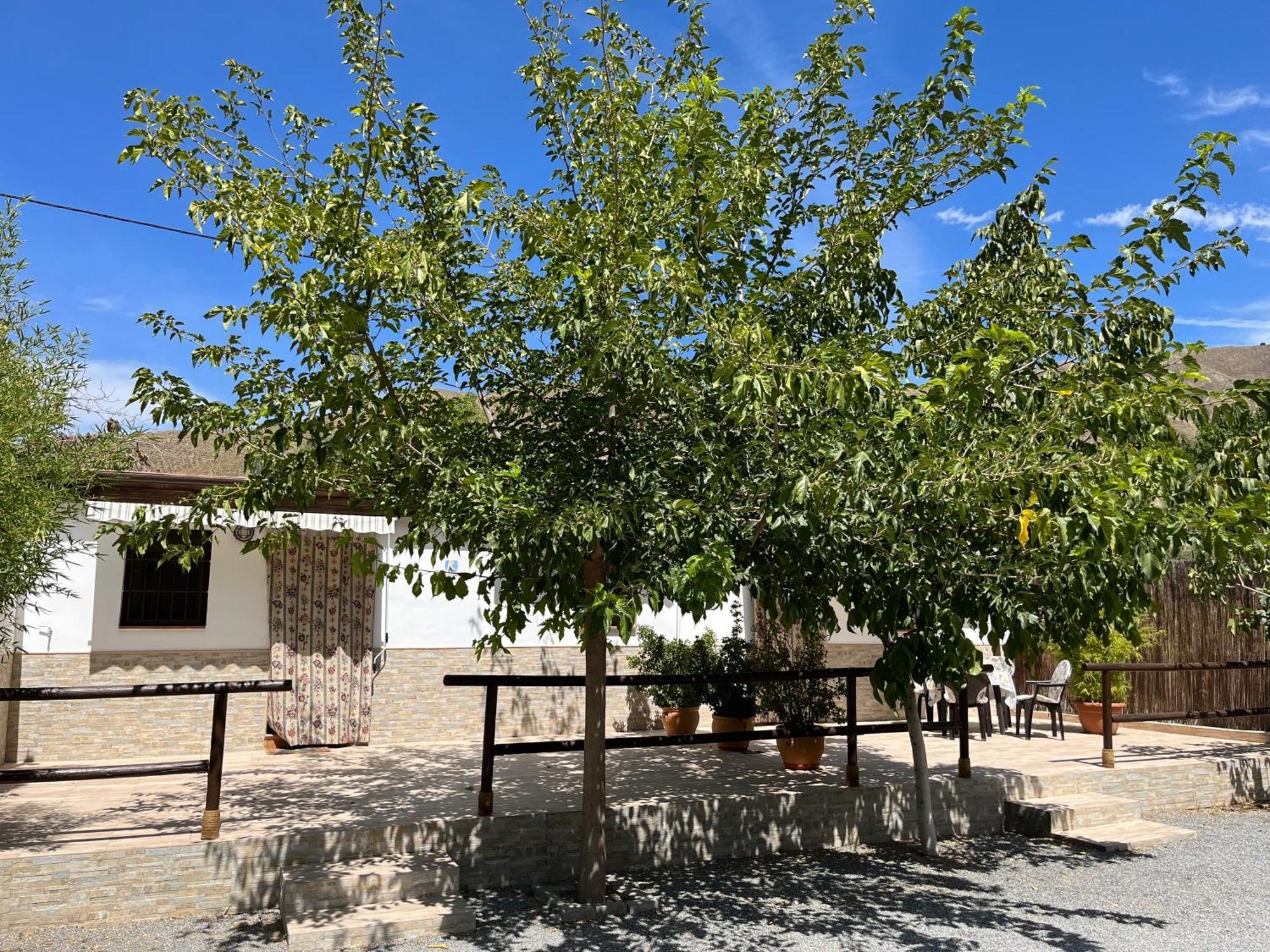 Cortijo Los Cahorros Sierra Nevada Моначиль Экстерьер фото